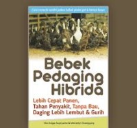 BEBEK PEDAGING HIBRIDA